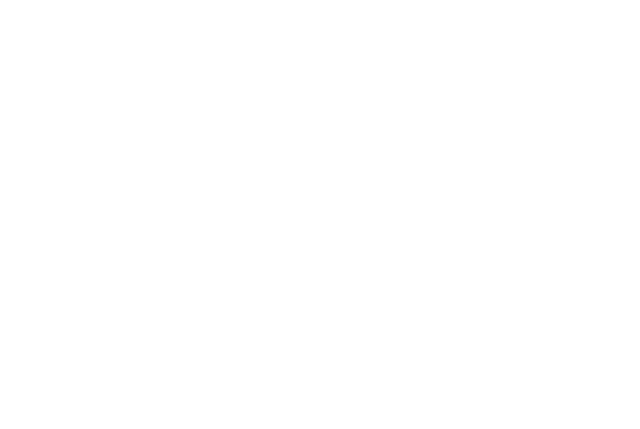 RPJ Exports